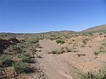 ղո񳤳15